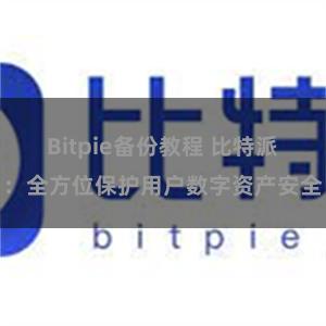 Bitpie备份教程 比特派：全方位保护用户数字资产安全