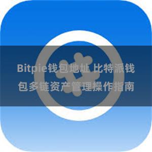 Bitpie钱包地址 比特派钱包多链资产管理操作指南