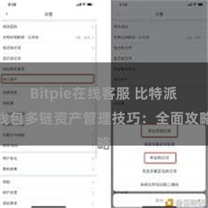 Bitpie在线客服 比特派钱包多链资产管理技巧：全面攻略