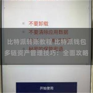 比特派转账教程 比特派钱包多链资产管理技巧：全面攻略