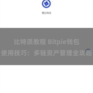 比特派教程 Bitpie钱包使用技巧：多链资产管理全攻略