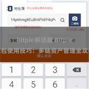 Bitpie移动版 Bitpie钱包使用技巧：多链资产管理全攻略