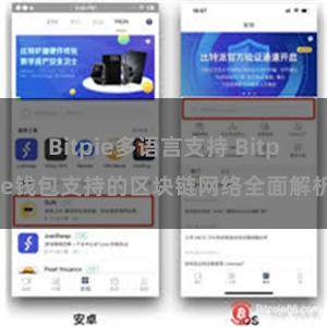 Bitpie多语言支持 Bitpie钱包支持的区块链网络全面解析