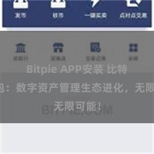 Bitpie APP安装 比特派钱包：数字资产管理生态进化，无限可能！