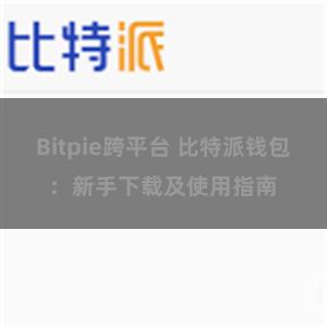 Bitpie跨平台 比特派钱包：新手下载及使用指南