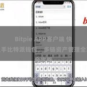 Bitpie APP客户端 快速上手比特派钱包，多链资产管理全攻略