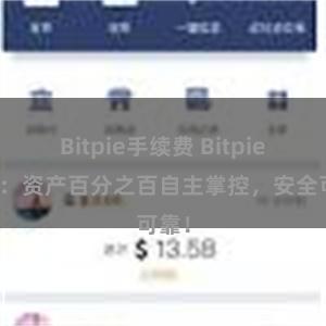 Bitpie手续费 Bitpie钱包：资产百分之百自主掌控，安全可靠！