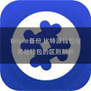 Bitpie备份 比特派钱包与其他钱包的区别解析