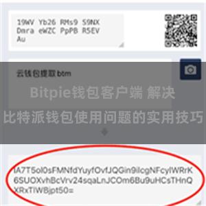 Bitpie钱包客户端 解决比特派钱包使用问题的实用技巧