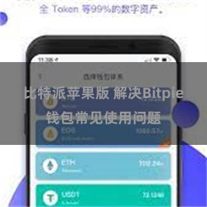 比特派苹果版 解决Bitpie钱包常见使用问题