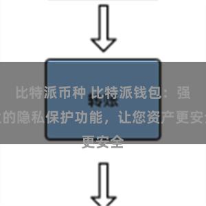 比特派币种 比特派钱包：强大的隐私保护功能，让您资产更安全