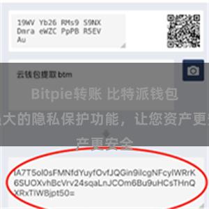 Bitpie转账 比特派钱包：强大的隐私保护功能，让您资产更安全