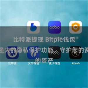 比特派提现 Bitpie钱包：强大的隐私保护功能，守护您的资产