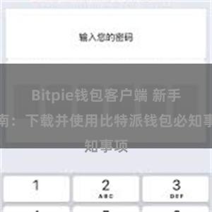 Bitpie钱包客户端 新手指南：下载并使用比特派钱包必知事项