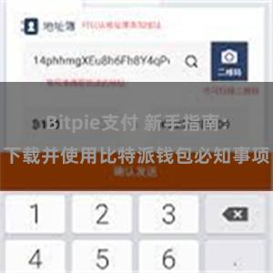 Bitpie支付 新手指南：下载并使用比特派钱包必知事项