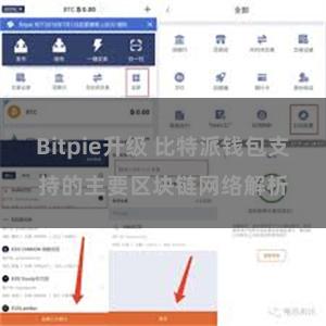 Bitpie升级 比特派钱包支持的主要区块链网络解析