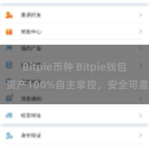 Bitpie币种 Bitpie钱包：资产100%自主掌控，安全可靠。