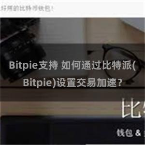 Bitpie支持 如何通过比特派(Bitpie)设置交易加速？