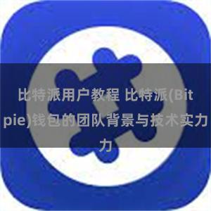 比特派用户教程 比特派(Bitpie)钱包的团队背景与技术实力