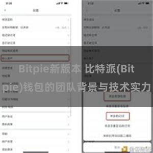 Bitpie新版本 比特派(Bitpie)钱包的团队背景与技术实力