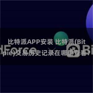 比特派APP安装 比特派(Bitpie)交易历史记录在哪里查看？