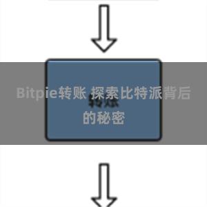 Bitpie转账 探索比特派背后的秘密