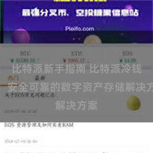 比特派新手指南 比特派冷钱包：安全可靠的数字资产存储解决方案