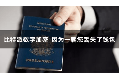 比特派数字加密 因为一朝您丢失了钱包