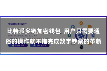比特派多链加密钱包  用户只需要通俗的操作就不错完成数字钞票的革新
