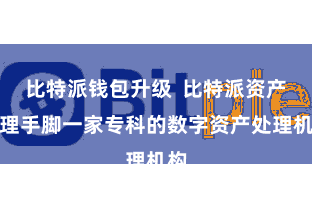比特派钱包升级  比特派资产处理手脚一家专科的数字资产处理机构