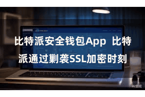 比特派安全钱包App  比特派通过剿袭SSL加密时刻
